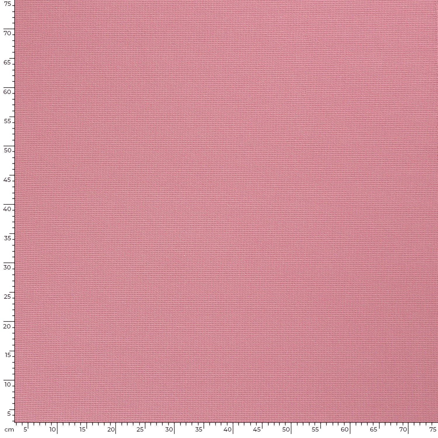 360 Spugne Da Cucina Mini Confezionate Singolarmente – 9x6x3 Cm, In Poliestere, Per Piatti E Pulizie